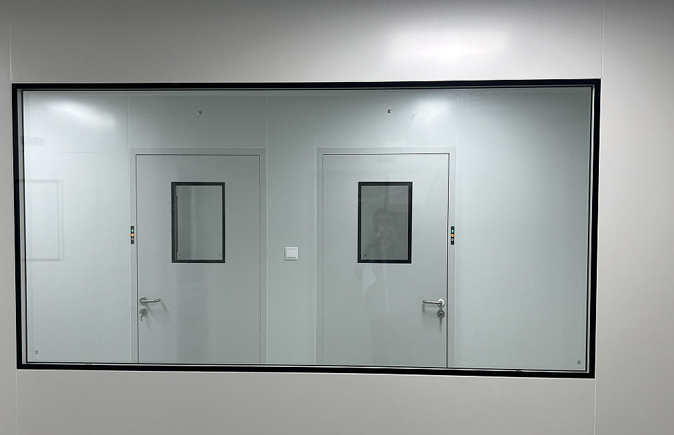 Cleanroom windows