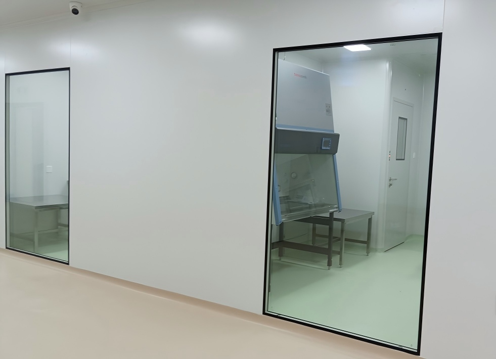 Cleanroom windows